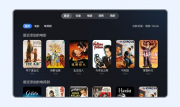 91看电视直播pc版,畅享海量频道，尽享高清视听盛宴